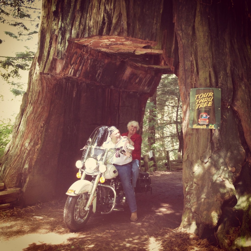 Gramma Riding a Harley through the Giant Redwood by Glade Hensel